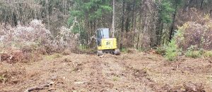 Track Works land clearing in Vancouver Washington